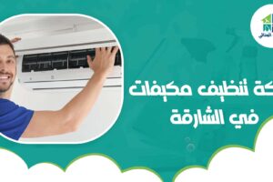 شركة تنظيف مكيفات في الشارقة
