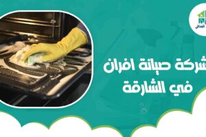 شركة صيانة افران في الشارقة