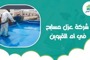 شركة عزل مسابح في ام القيوين