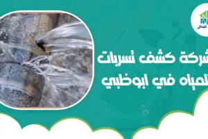 شركة كشف تسربات المياه في ابوظبي