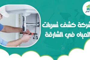 شركة كشف تسربات المياه في الشارقة