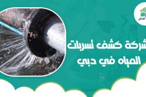 شركة كشف تسربات المياه في دبي